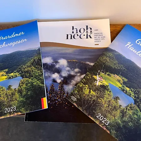 Les Deux Maisons - Tolbiac - Maison 8 Personnes Vue Pistes Proche Feriehus Gérardmer