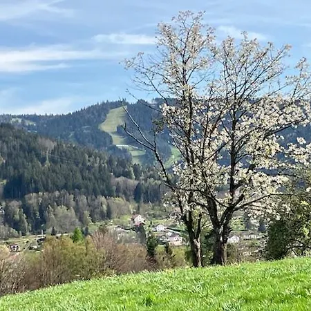 Les Deux Maisons - Tolbiac - Maison 8 Personnes Vue Pistes Proche Gérardmer