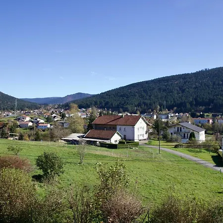 Les Deux Maisons - Tolbiac - Maison 8 Personnes Vue Pistes Proche Feriehus Gérardmer