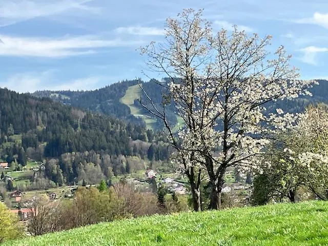 Les Deux Maisons - Tolbiac - Maison 8 Personnes Vue Pistes Proche Gérardmer